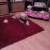 Pat Brace - Facebook