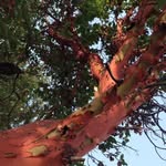 Pat Bracken - @pat.bracken.57.moggies - Instagram
