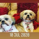 Pat Bracken - @pat.bracken.75 - Instagram