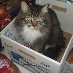 Pat Brackett - @pbrackett54 - Instagram