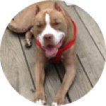 Pat Bragg - @mytalon - Instagram