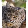 Pat Bragg - @pat.bragg2 - TikTok