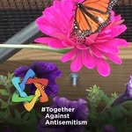 Pat Brinson - @pat.brinson.56 - Instagram