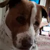pattybrooke - @pattybrooke - TikTok