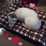 Patricia Brumley - @patricia.brumley.756 - Instagram