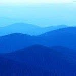 Anne Burt - @pat.burt - Instagram