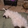 Pat Byrom - @pat.byrom - TikTok
