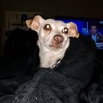 Pat Byrnes - @patathome_ - Instagram