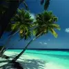 Pat Byrnes - @pat.byrnes - TikTok