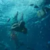 Pat Cabrera - @mrcadabra - TikTok