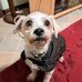 Pat Cady - Facebook
