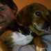Pat Cady - Facebook
