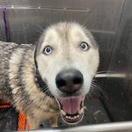patrick cahoon - @pcahoon_ - Instagram