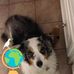 Pat Calhoun - Facebook