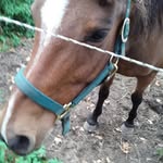Pat Calhoun - @pat.calhoun.378 - Instagram