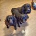 Pat Calhoun - Facebook