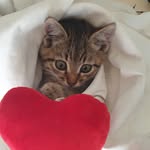 Patri - @pat.ca.li - Instagram