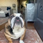 Pat Callahan - @patcallahan0825 - Instagram