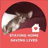 Pat Callahan - @patcallahan2 - TikTok