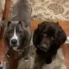 Pat Callahan - @pat.callahan73 - TikTok