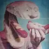 TheCheese - @pat.callahan7 - TikTok