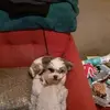 patriciacalvert - @patriciacalvert - TikTok