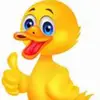 patinho calavinho🦆😁 - @patinho_calvo12321 - TikTok