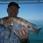 Pat Cameron - @pat.cameron.397 - Instagram
