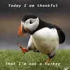 pat cameron - @pattyche4 - TikTok