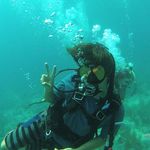 Patrick Campion - @patcampion - Instagram