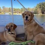 Pat Canale - @driftrose2 - Instagram