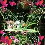 Pat Canny - @patsycanny - Instagram