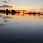 Pat Card - @patoocardi7272 - Instagram