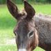 Pat Duncan Cargile - Facebook