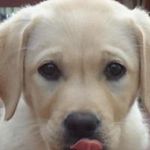 Pat Carlin - @pat.carlin.10 - Instagram