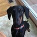 Pat Carlin - Facebook