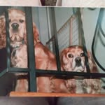 Pat Carlson - @pat.carlson.5602 - Instagram