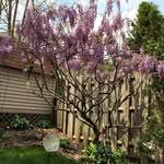 Pat Finegan Carlson - @pat.carlson.963 - Instagram