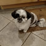 Pat Caro - @pcaro67 - Instagram