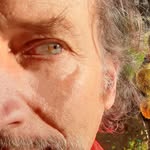 Pat Caron - @7booksbypatcaron - Instagram