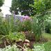 Pat Carr - Facebook