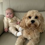 Pat Carruthers - @pat_carruthers - Instagram