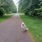 pat Casserly - @casserly.pat - Instagram
