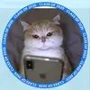 Patrizia Castagna437 - @patriziacastagna0 - TikTok