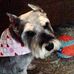 Pat Cates - Facebook