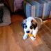 Pat Cato - Facebook