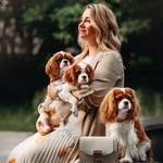 Cavalier King Charles spaniels - @patricias_cavalier_farm - Instagram