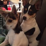 Pat Cavender - @patcavender9897 - Instagram