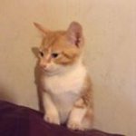 Pat Chadwick - @patxchadwick - Instagram