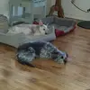 Pat Chadwick - @pat.chadwick - TikTok